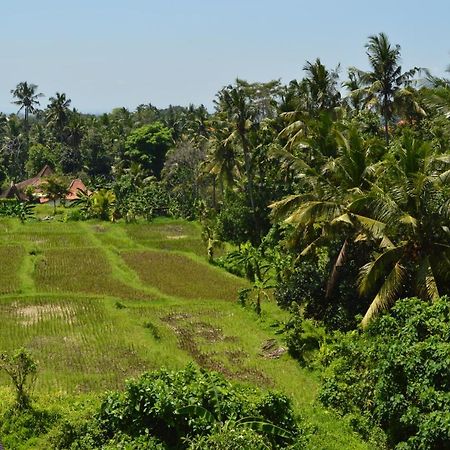 Askara Guest House & Hostel Ubud Zewnętrze zdjęcie